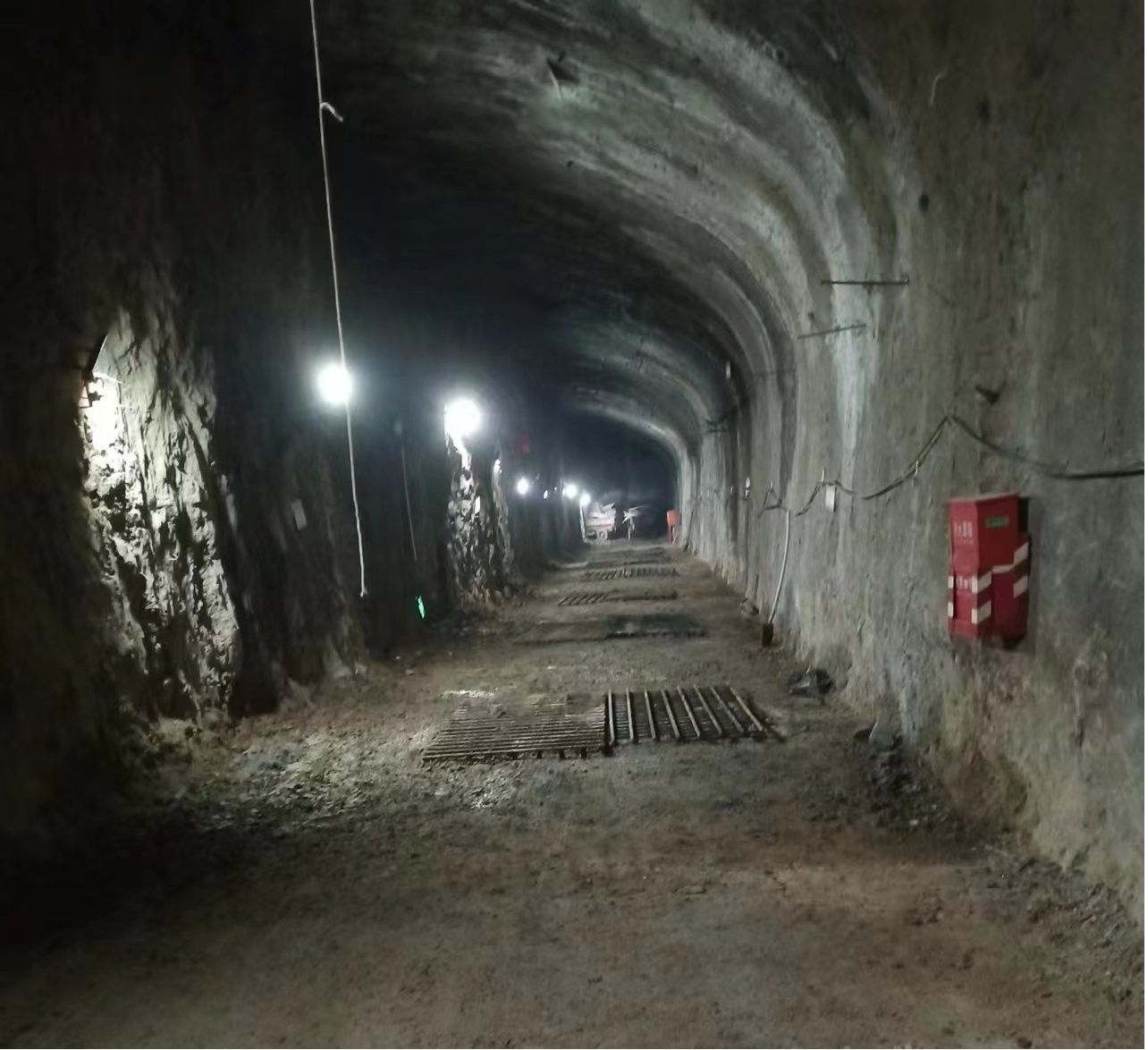 1687747288353635.jpg 1687747288353635.jpg